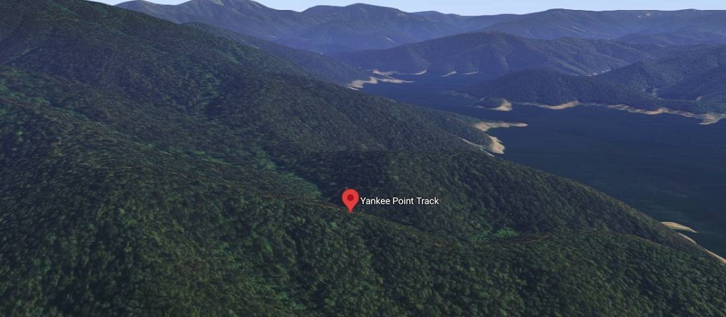 According to reports, the extreme weather hampered the search for Lillian in the Victorian alpine region 